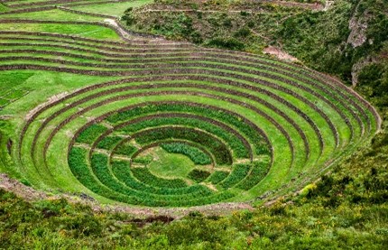 Moray
